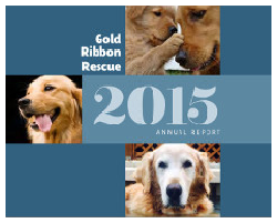 2015 GRR Annual Report
