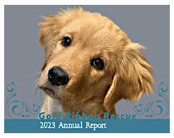 2023 GRR Annual Report